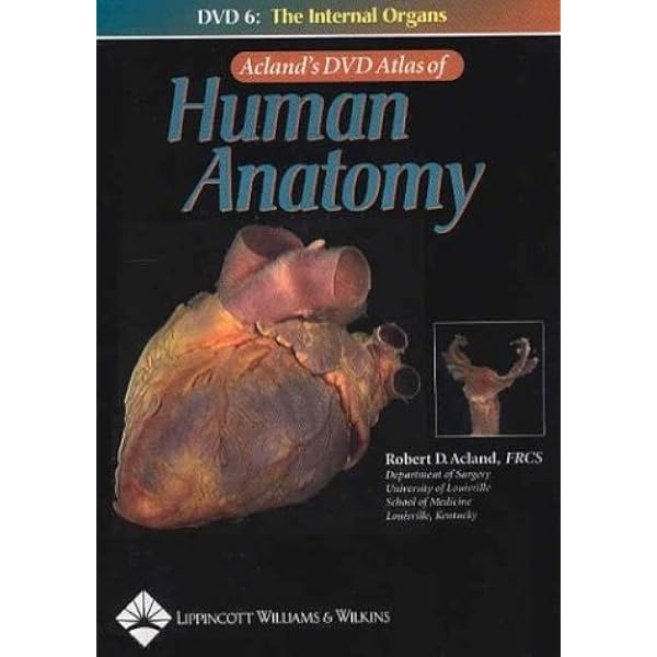 Acland's Dvd Atlas Of Human Anatomy: The Lower Extremity, Disc 2